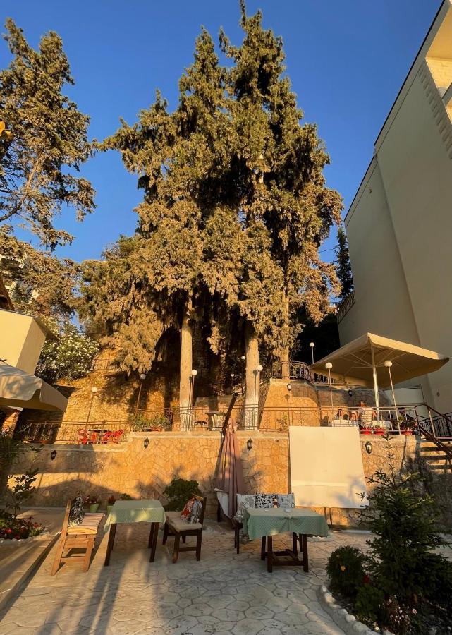 Tekada Hotel & Restaurant Vlore Ngoại thất bức ảnh
